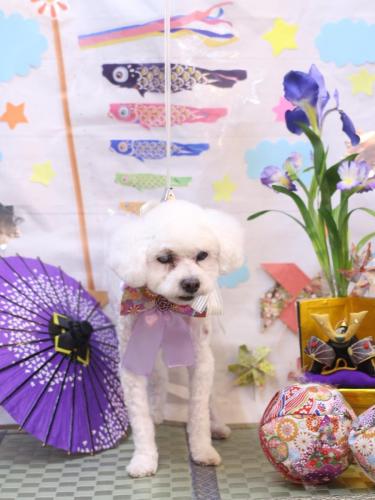 20240504コロンくん